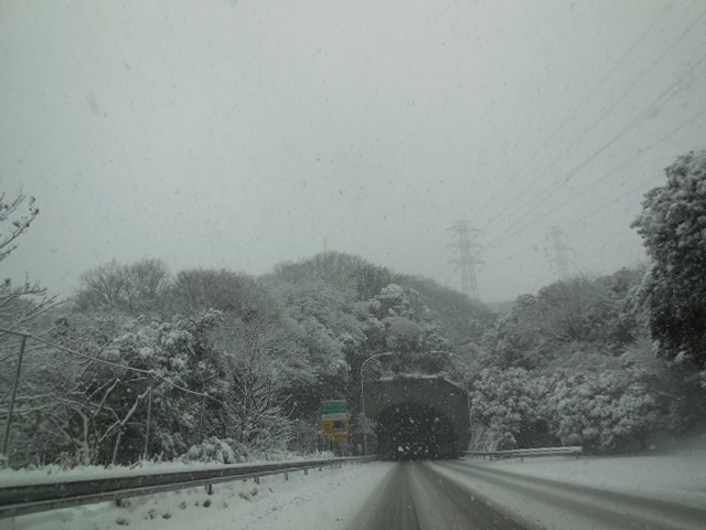 雪は、降る！