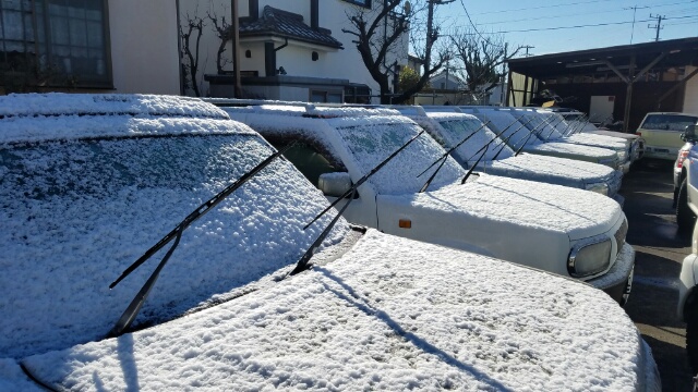 昨日の雪！